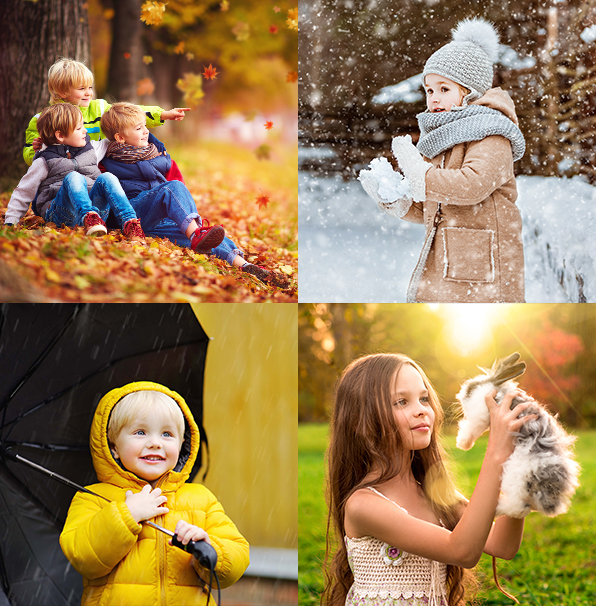 entire collection lightroom presets